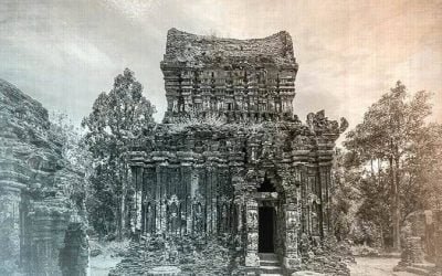 Cada planeta tiene una particular inteligencia