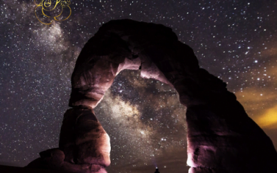 La estrella número once